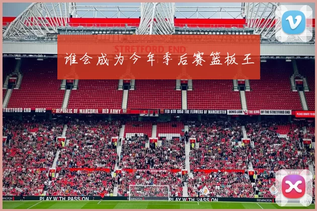 谁会成为今年季后赛篮板王